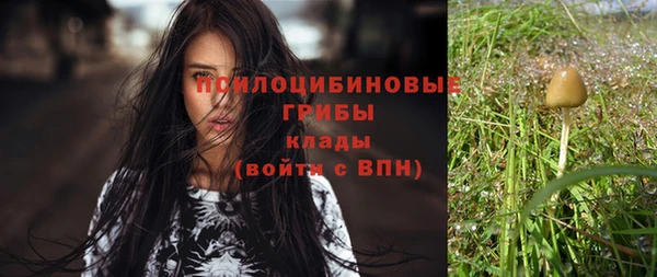 амф Липки