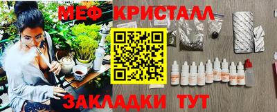 индика Кингисепп