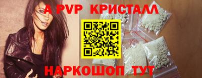 индика Кингисепп