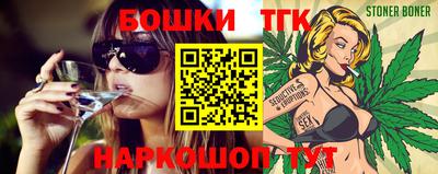индика Кингисепп