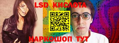 индика Кингисепп