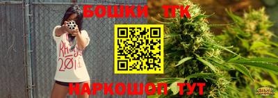 индика Кингисепп