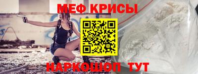 индика Кингисепп