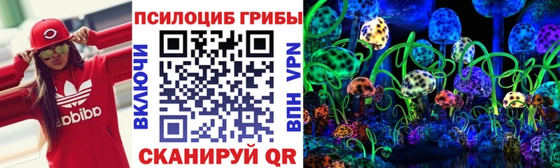 купить   Среднеуральск  darknet клад  Псилоцибиновые грибы мицелий 